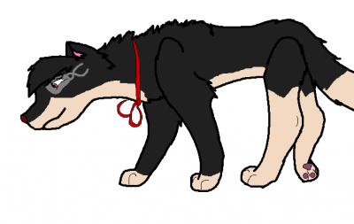 qu.PNG
