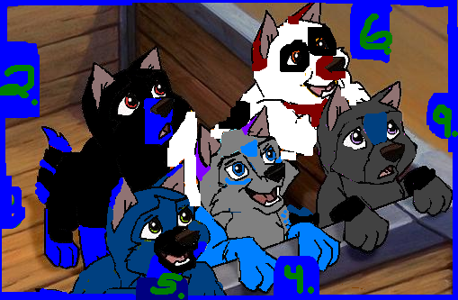 Pupies.png