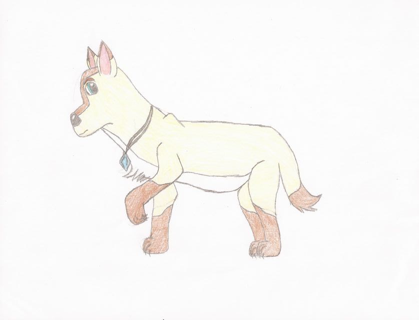Fursona, Emily.jpg