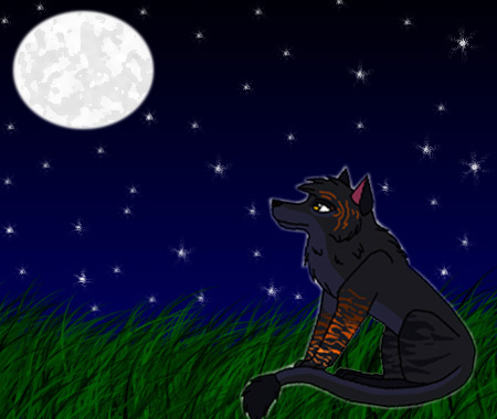 WWM's Contest Entry 3.jpg