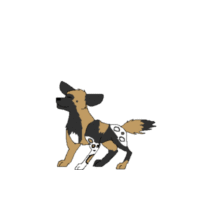 imator_animation.gif