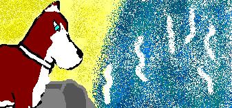 nwwww.JPG