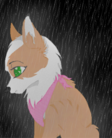 kimi in rain 2.PNG