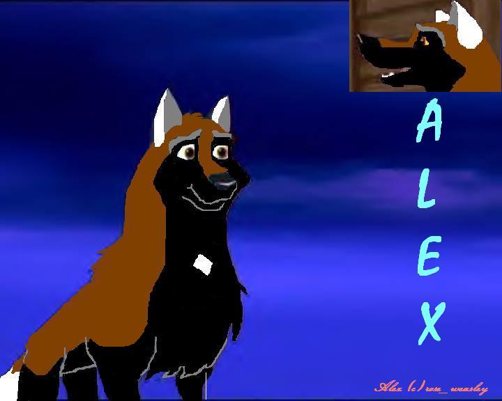 alex.jpg