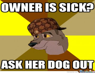 image.jpeg