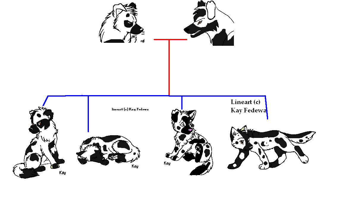 bb.PNG