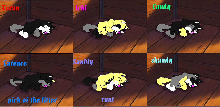 puprwo.PNG