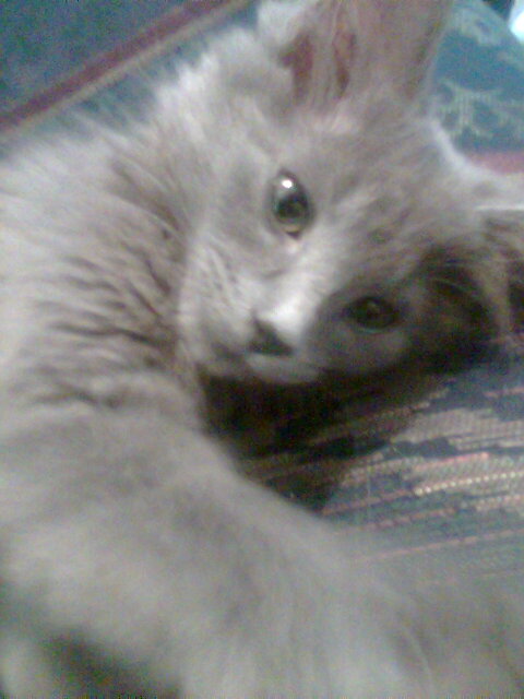 Tuey6.16.09d.jpg
