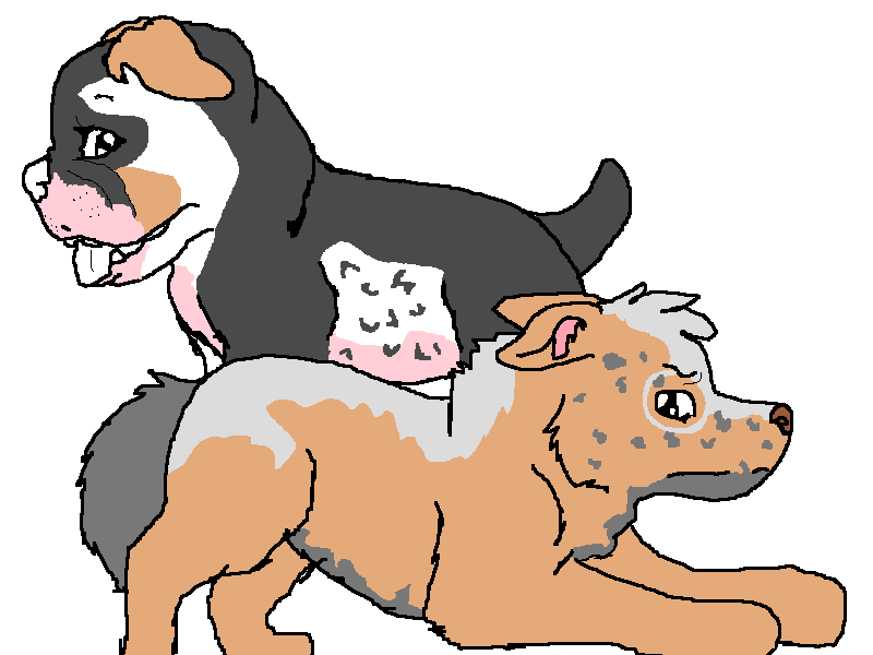 B10.png