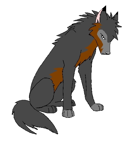 k.PNG