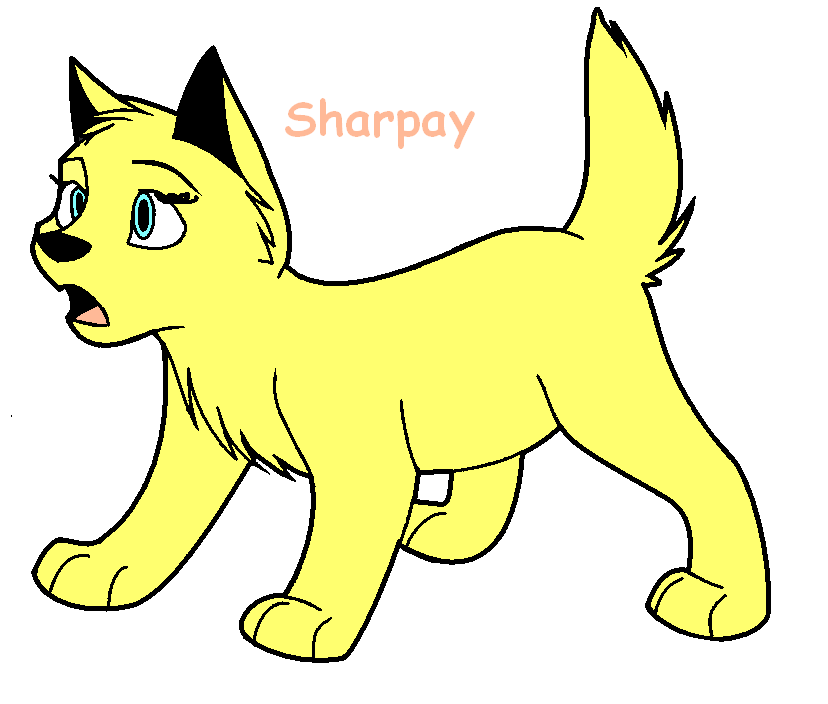 puppy 2.PNG