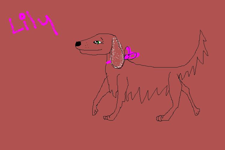 lily.JPG