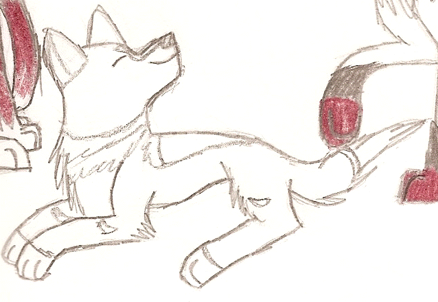 alaki.gif