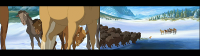 foal.png