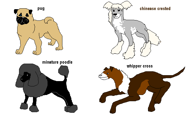 snowman1.gif