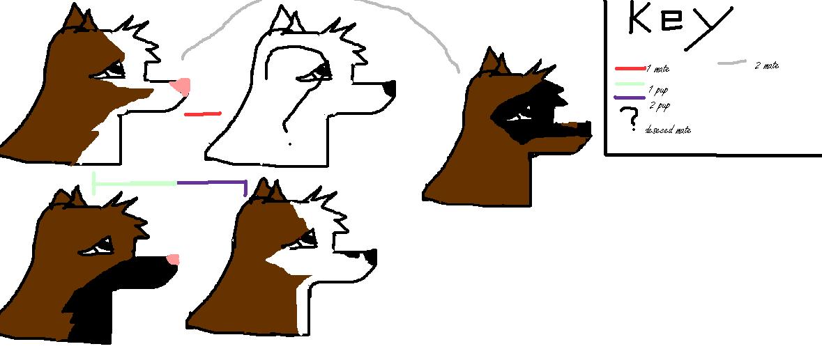 fundfdd.jpg
