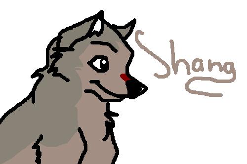 Shang.JPG