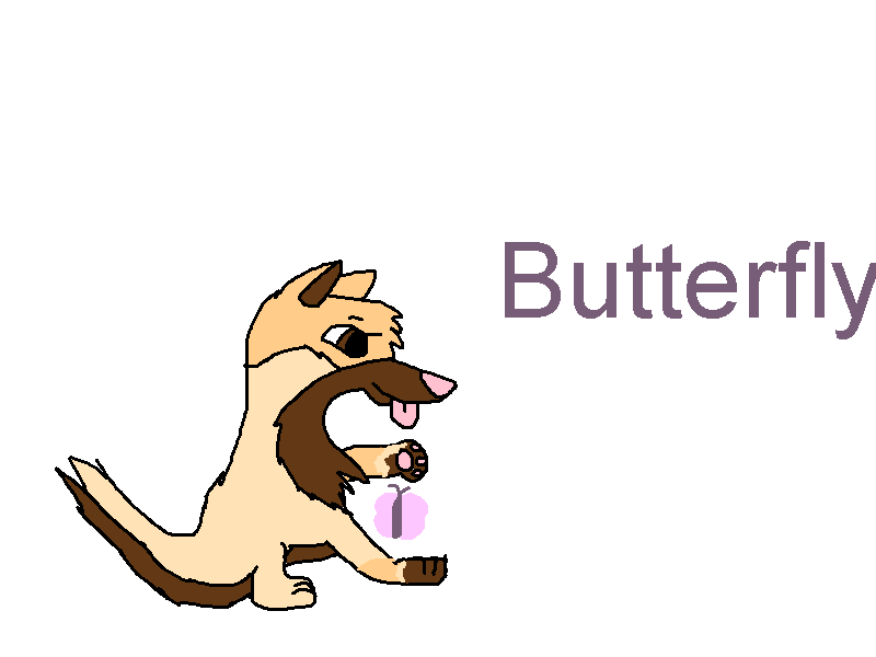 a abutter fly.png