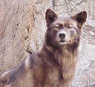 Image 4.jpg
