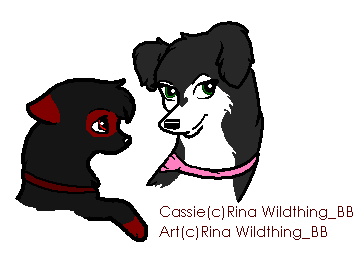 cassie.PNG