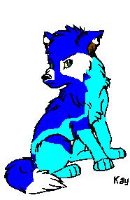 pup2.JPG