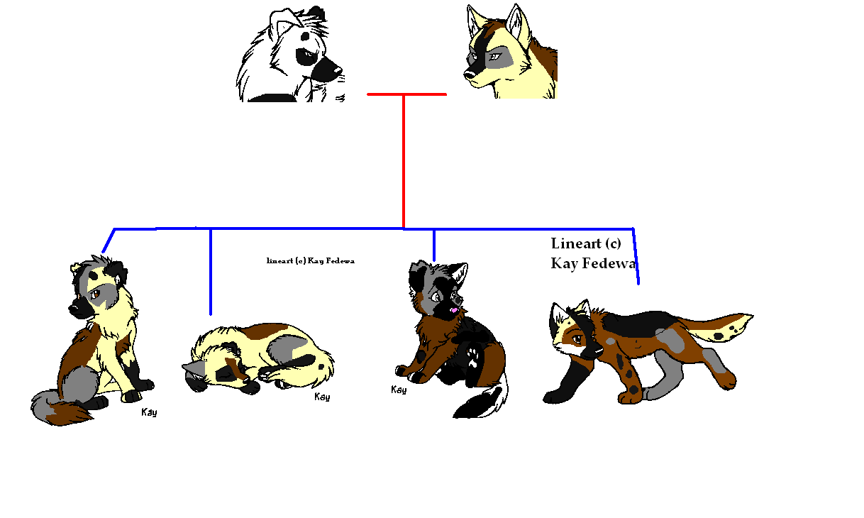 bbb.PNG