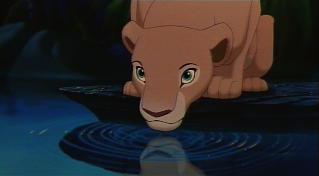 Nala Drinking.jpg