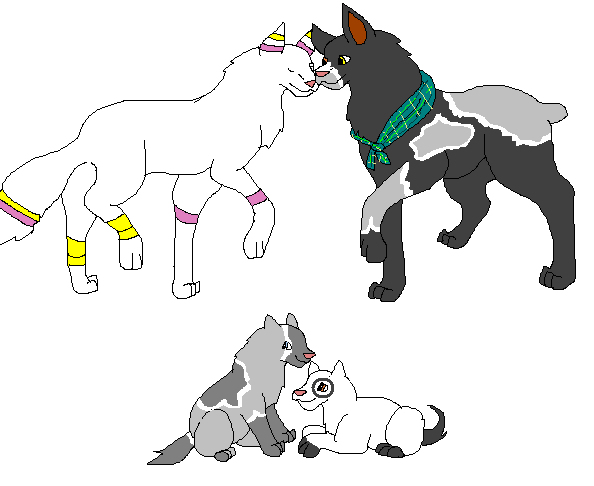 comp.GIF