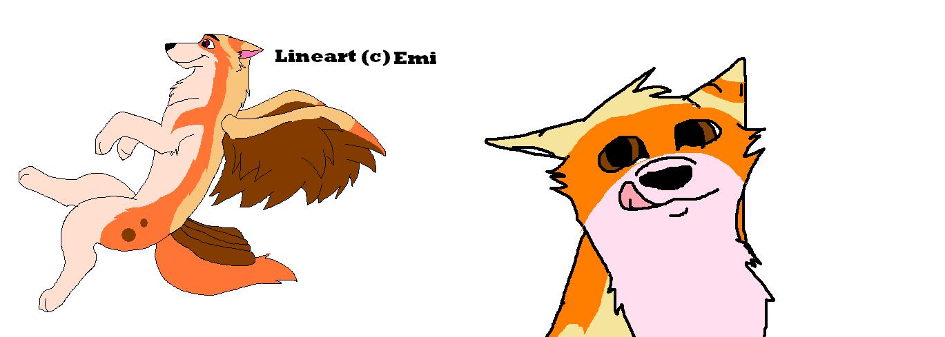 Paws.jpg