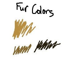 travis colors.jpg