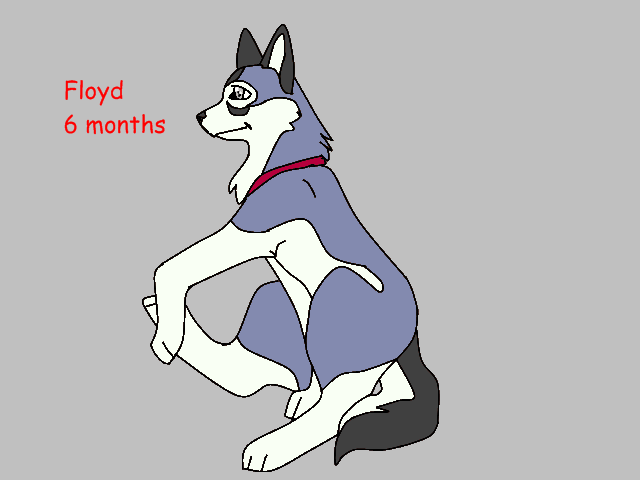Floyd.png