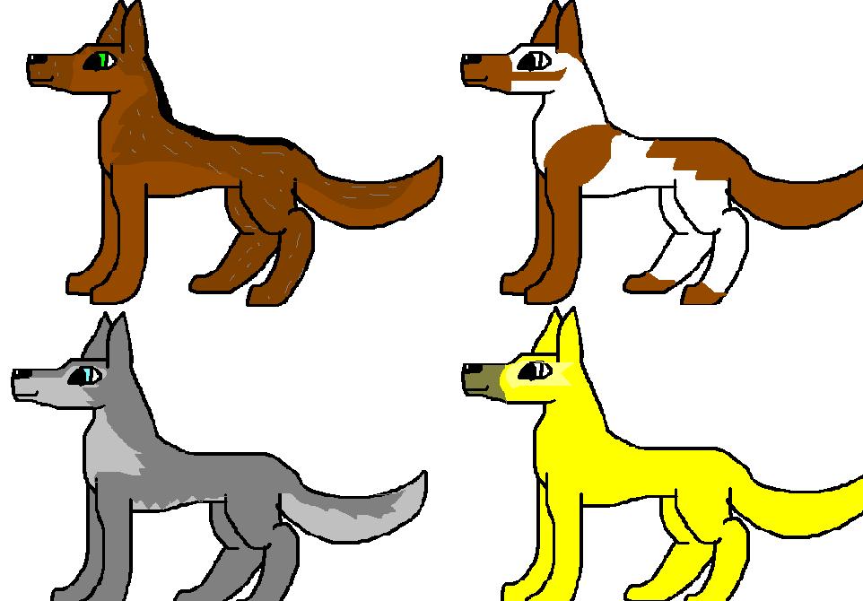 adoption dogs.JPG