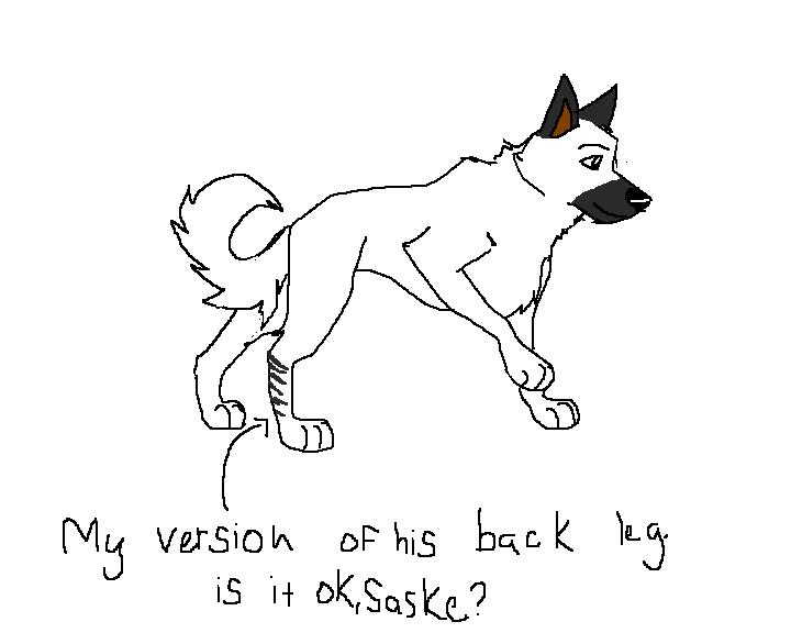 walking_.JPG