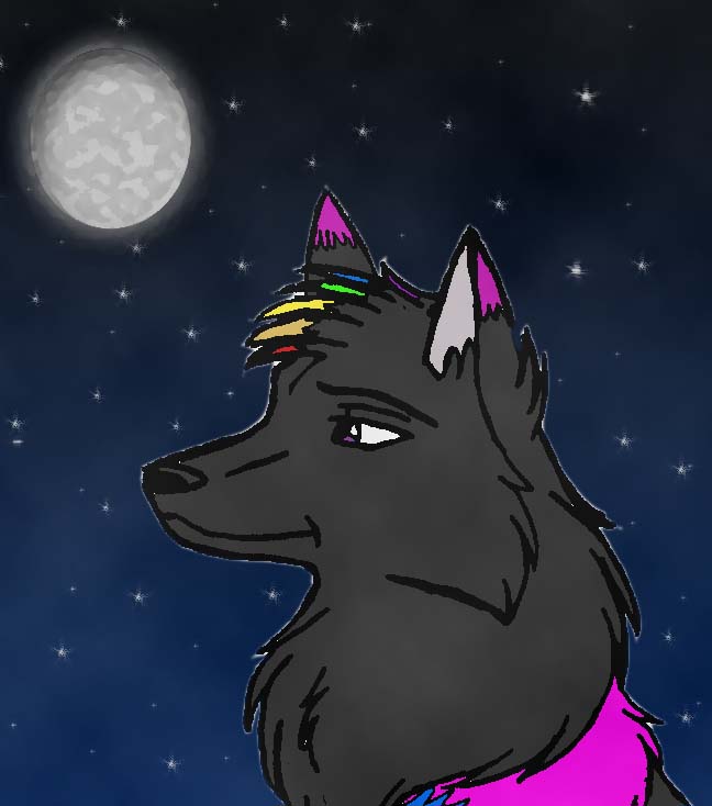Contest Entry.jpg