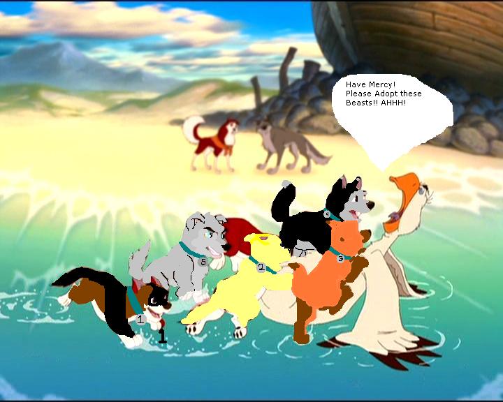 Adoptables!.JPG