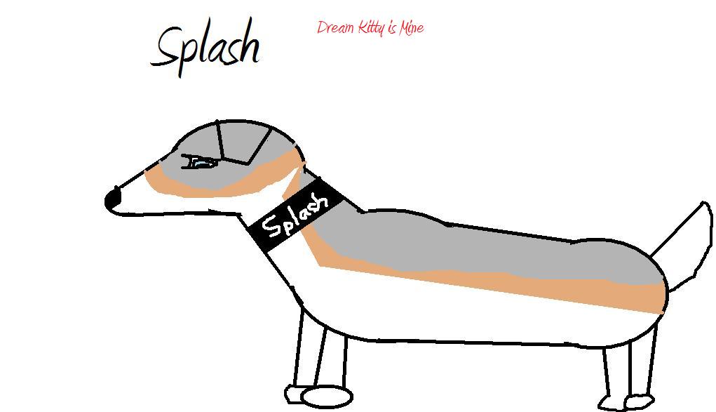 Splash.jpg