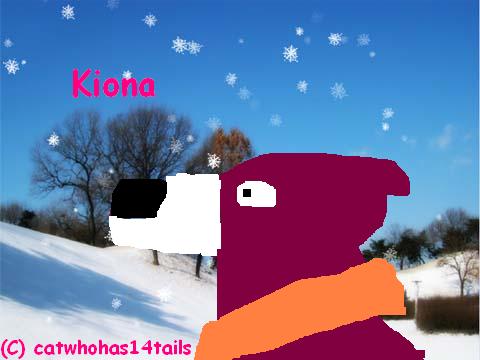 snow.jpg