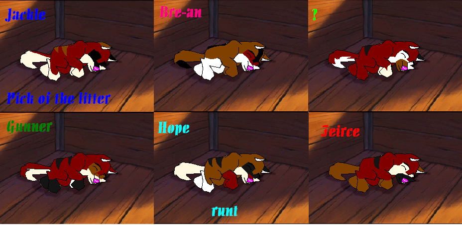 pupsone.PNG