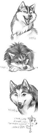 Husky_heads_Exercise_by_huskie666.jpg