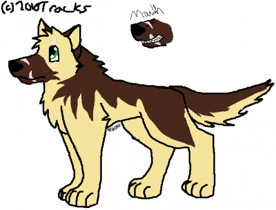 mackkkk.png