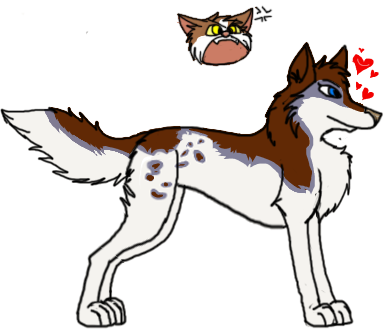 pic_detail4b40bd5b60dd4 copy.png