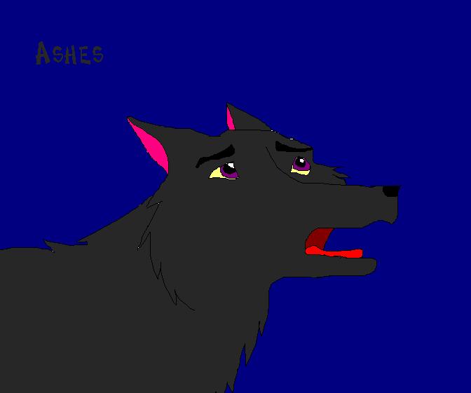 Ashes 1.JPG