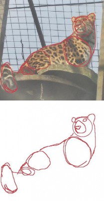 amur leopard.jpg