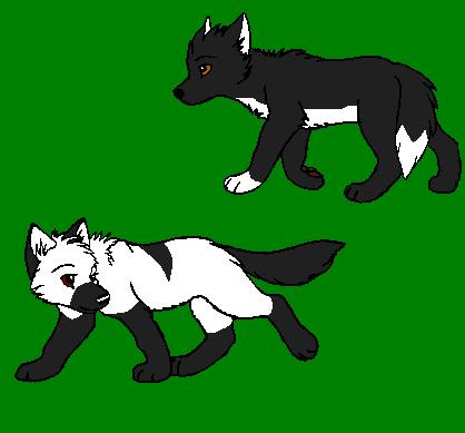pups.JPG