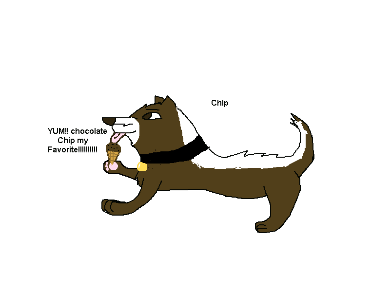 a Chip.png