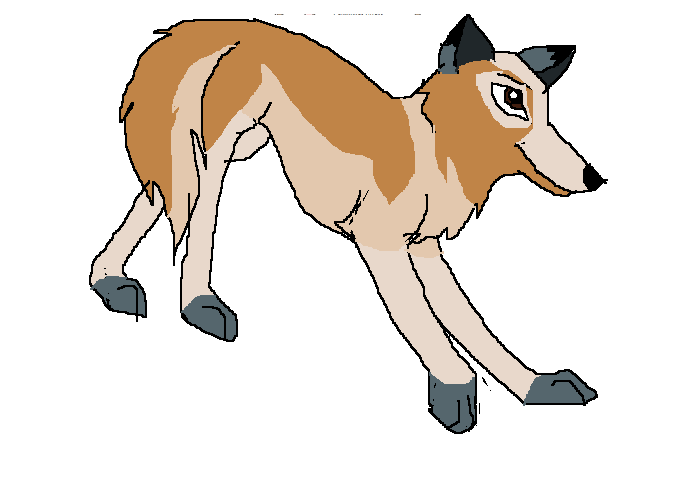 yfc.PNG