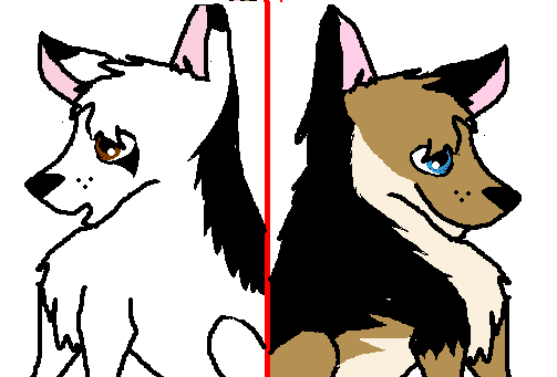 hty.PNG
