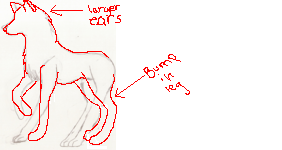 dogs.png