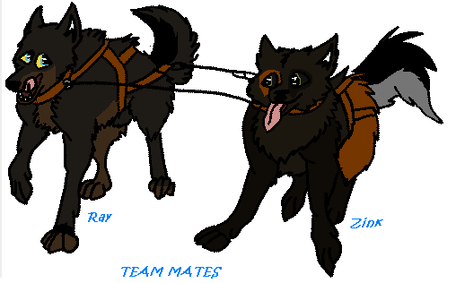 team mates.PNG