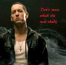 dont mess whith shady.png